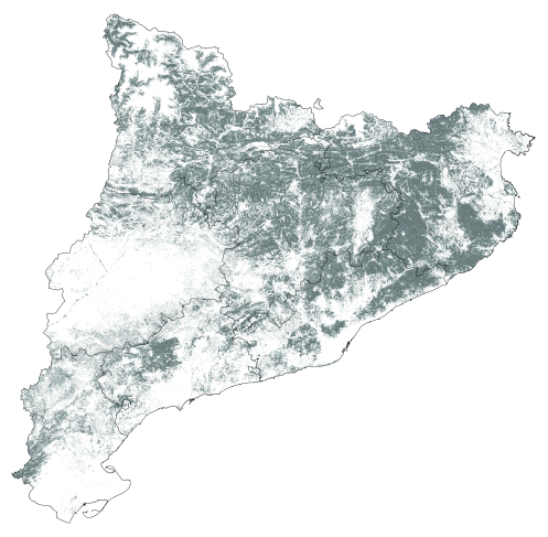 Superfcie forestal arbrada segons el Mapa de Cobertes del Sl de Catalunya