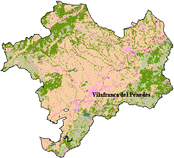 Mapa de Cobertes del Sòl a l'Alt Peneds