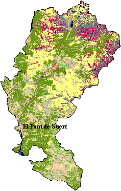 Mapa de Cobertes del Sòl a l'Alta Ribagora