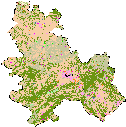 Mapa de Cobertes del Sòl a l'Anoia