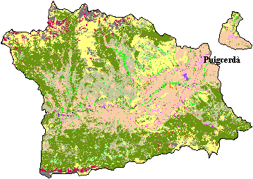 Mapa de Cobertes del Sòl a la Cerdanya
