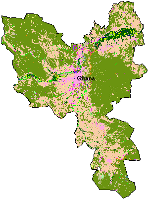 Mapa de Cobertes del Sòl al Girons
