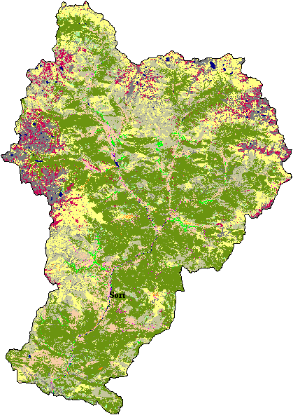 Mapa de Cobertes del Sòl al Pallars Sobir