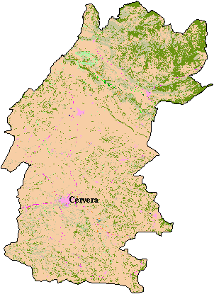 Mapa de Cobertes del Sòl a la Segarra