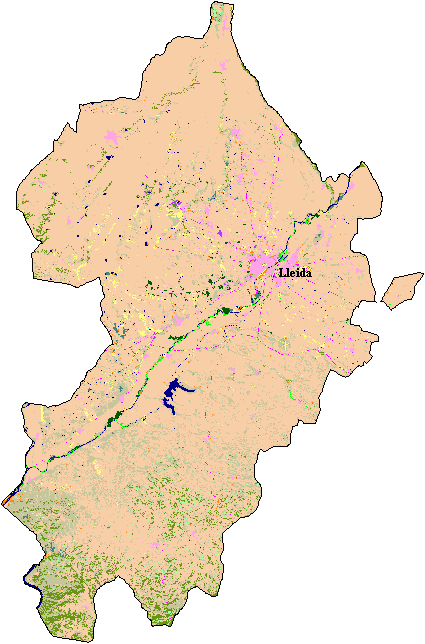 Mapa de Cobertes del Sòl al Segri