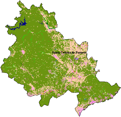 Mapa de Cobertes del Sòl a la Selva