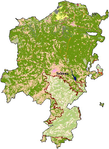 Mapa de Cobertes del Sòl al Solsons