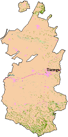 Mapa de Cobertes del Sòl a l'Urgell