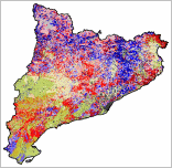 Mapa de Models d'Inflamabilitat, 2 edici (ampliada)