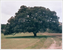 Fraccions aèries