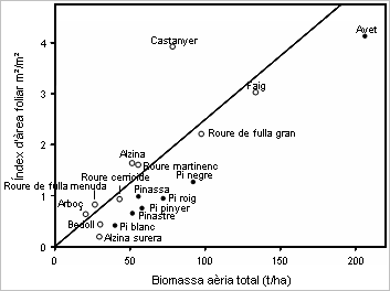 Relació entre l'índex d'àrea foliar i la biomassa aria total